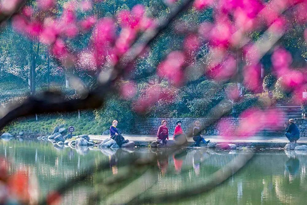 中国国家博物馆发布2024年“春节”开放公告
