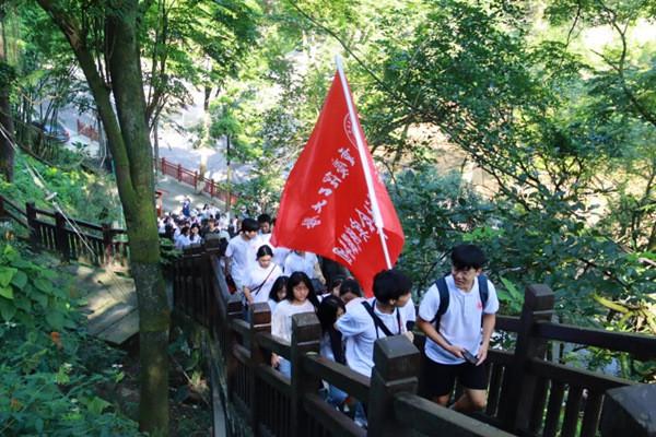 全民烧脑3去广告版